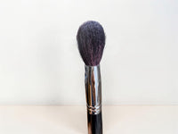 Powder Brush