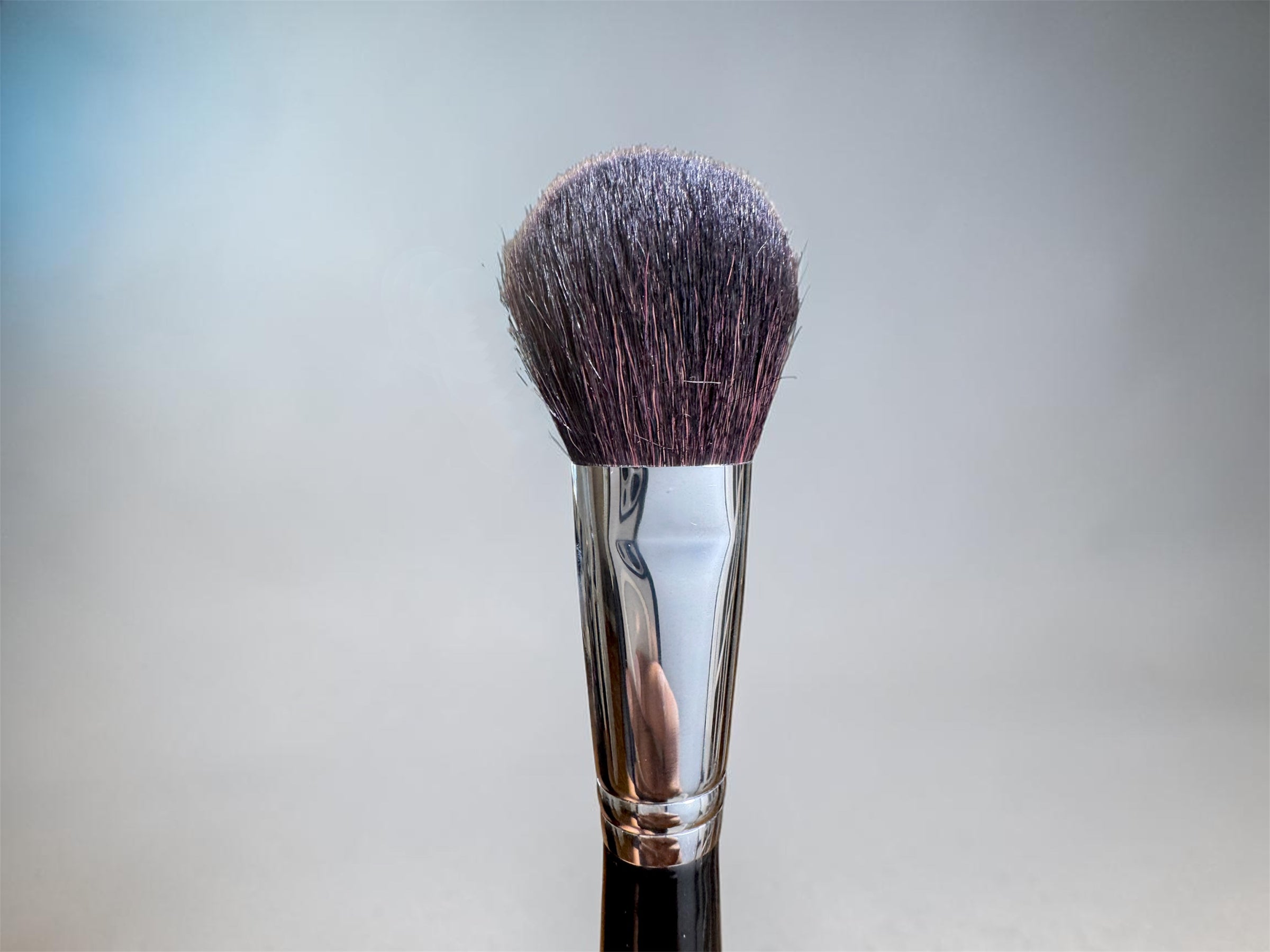 Powder Brush